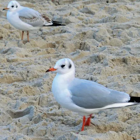 Apartman Glienbergweg 24b 2